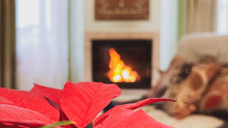 Duplex 5 camere | Interior 180 mpu, Teren 364 mp | Foisor & Garaj mare - Poză 7