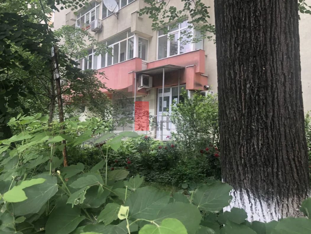 APARTAMENT 3CAMERE- TEIUL DOAMNEI - Poză 2