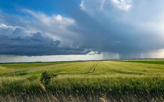 Investiție Agricolă Operațională, Fermă Completă de 730 ha în Nord-Est - Poză 1