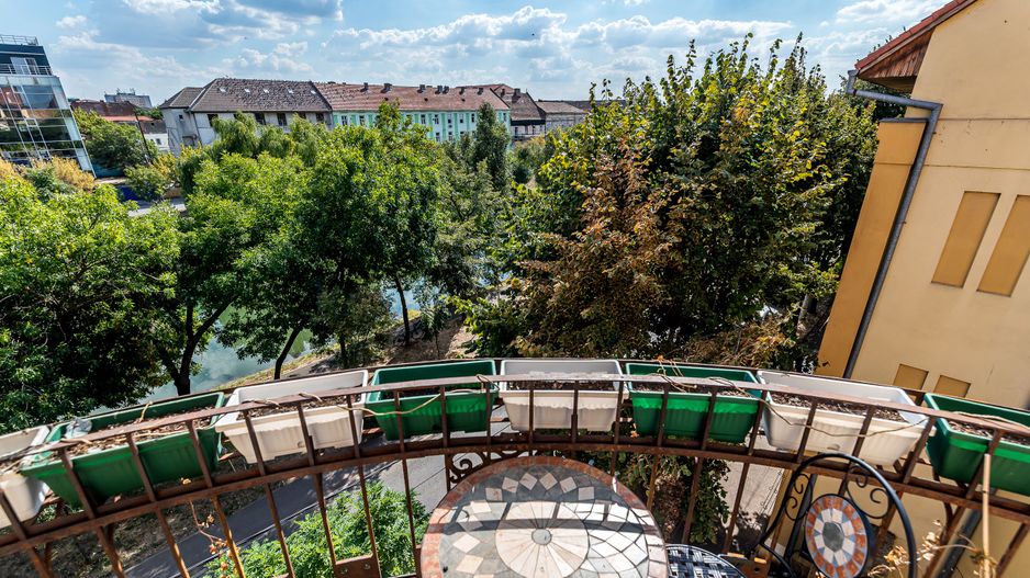 3 camere în Palatul Gemeinhardt, pe malul Begăi | Timișoara - Poză 5