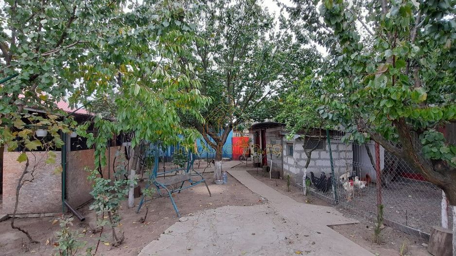 Gospodarie rustica, completa si accesibila în Cobadin - Poză 16