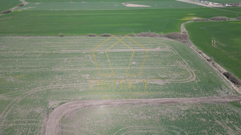 Teren industrial de vânzare Covaci | 14.000 mp | Viitoare centura Covaci - Poză 5