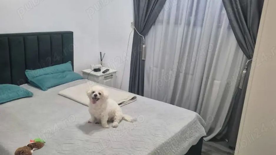 Apartament 2 camere - Poză 2