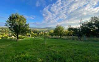 EXCLUSIVITATE! TEREN INTRAVILAN 29.2 ARI + 5.8 ARI TEREN EXTRAVILAN, DE VANZARE - Poză 2