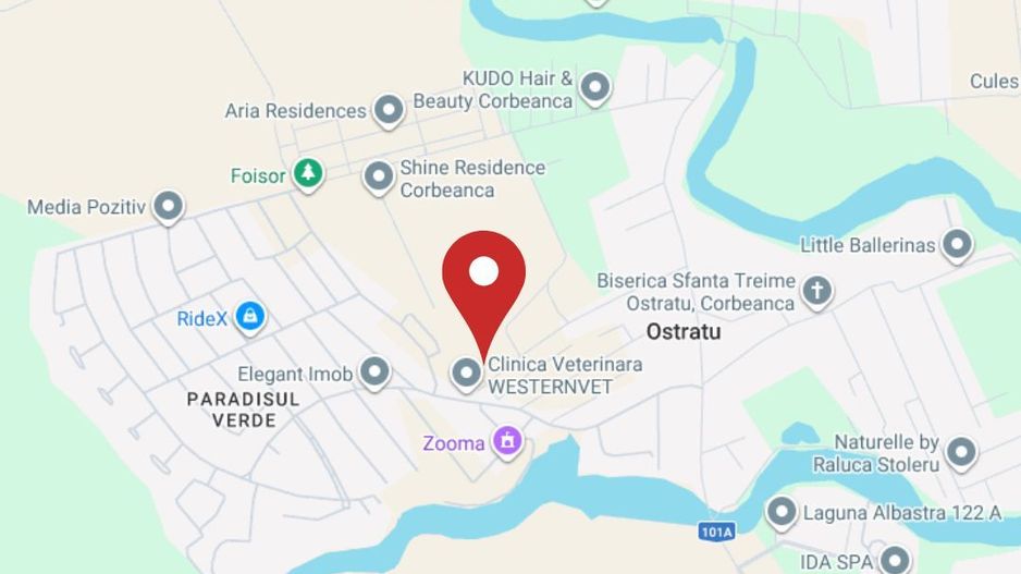 Teren de vanzare Corbeanca - Ostratu, langa complex Paradisul Verde - Poză 3