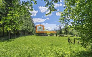 Oportunitate, Restaurant cu MiniPensiune 800mp, 1,8ha teren, Via Transilvanica - Poză 66
