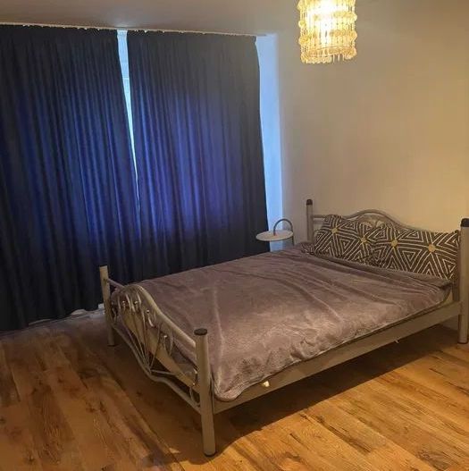 Apartament 2 camere Dristor Pet Friendly - Poză 2