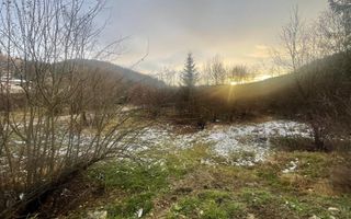 TEREN INTRAVILAN 2,26 HA | SUCEVITA | - Poză 14