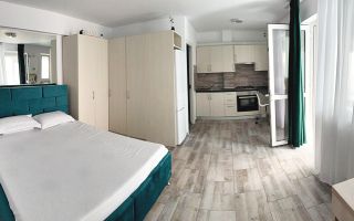 Garsonieră de închiriat – Ferdinand | Sector 2 - Poză 1