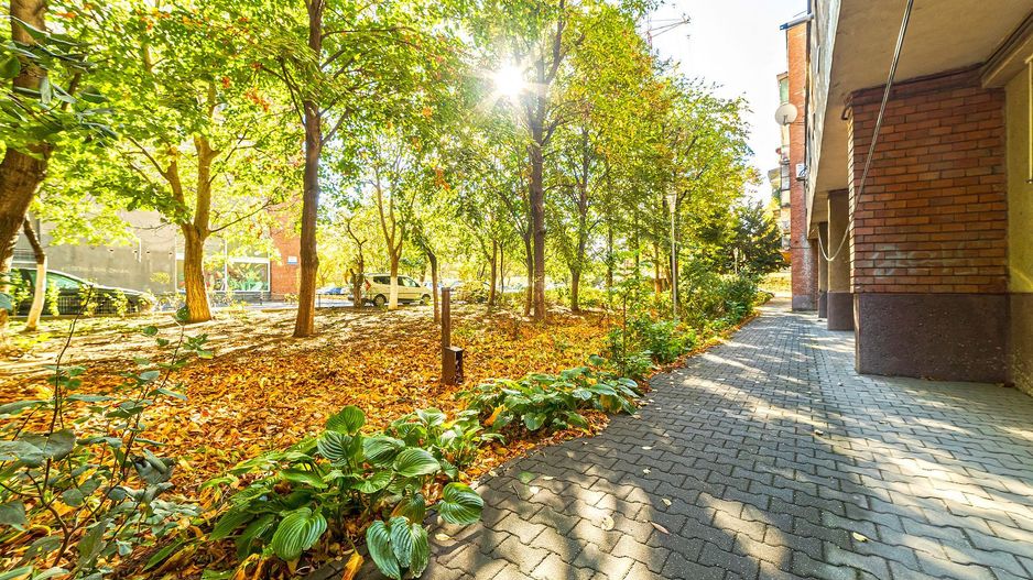 De închiriat apartament 3 camere - tip Samantha - Polivalentă - Poză 6