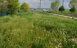 Casă de vânzare Măzănăești/Suceava - Poză 6