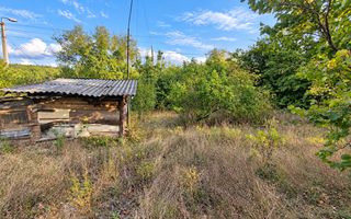 LOT POMICOL DE VÂNZARE – 5,7 ARI | IALOVENI  Î.P. „Floare-Carpet - Poză 9