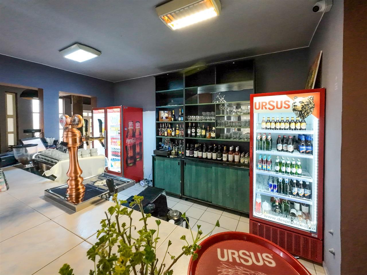 Potential Imobiliar remarcabil, recomandat domeniului Petrolier & HoReCa, DN11 - Poză 7