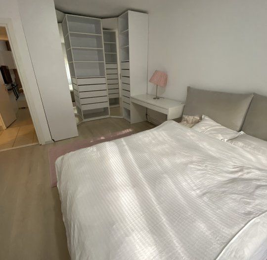 Apartament Aviatiei | Mall Promenada | Metrou Aurel Vlaicu - Poză 5