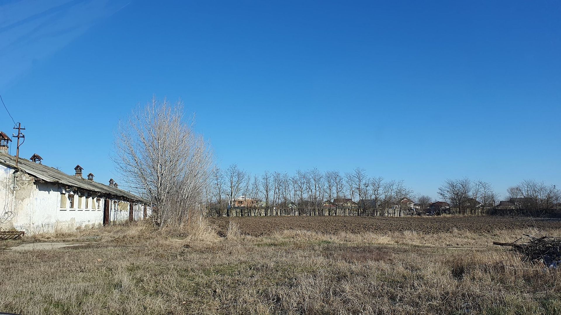 Vând teren intravilan 10 hectare Crevedia, cu gaze și curent. - Poză 7