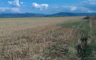 Teren extravilan Prejmer - Poză 9