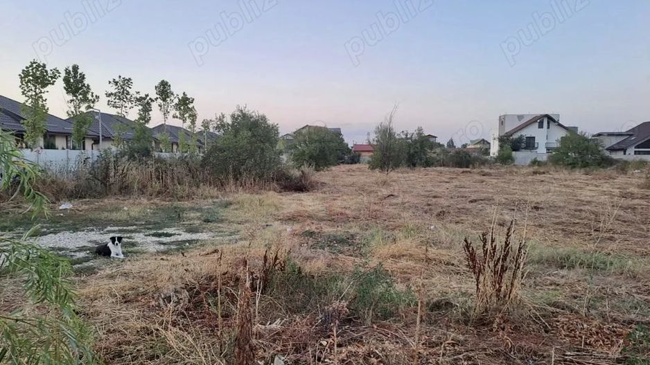 De vanzare teren intravilan 4685 mp, Cornetu-aproape de A0 - Poză 5