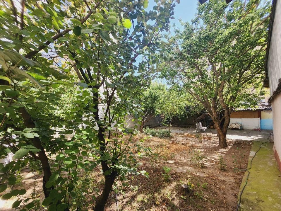 Proprietate/Teren de Vanzare- Bucuresti Sector 1- Bucuresti Targoviste 24 - Poză 12