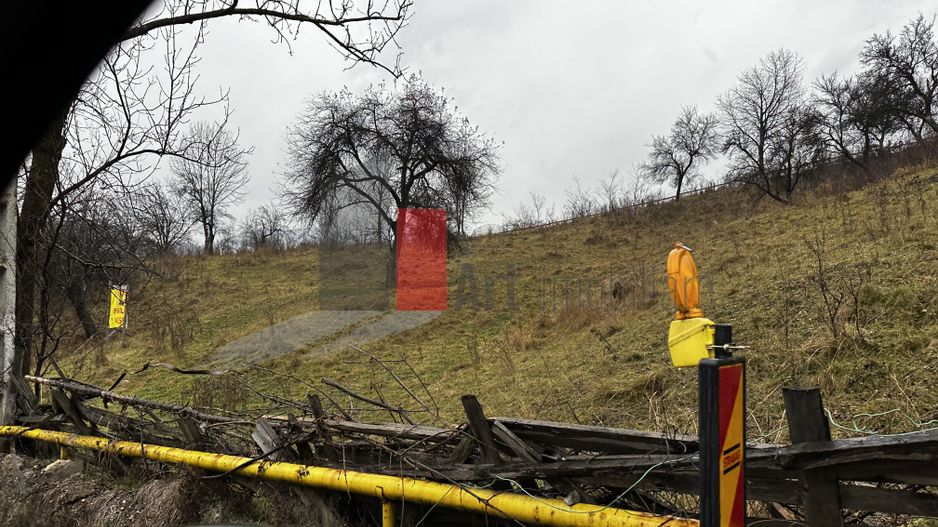 Teren intravilan 3214 mp  în Rucăr cu deschidere 56 m în DN73 - Poză 7