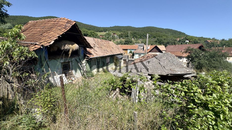 Casă + Anexă Cricău | 2.015 mp teren | Utilități racordate - Poză 7