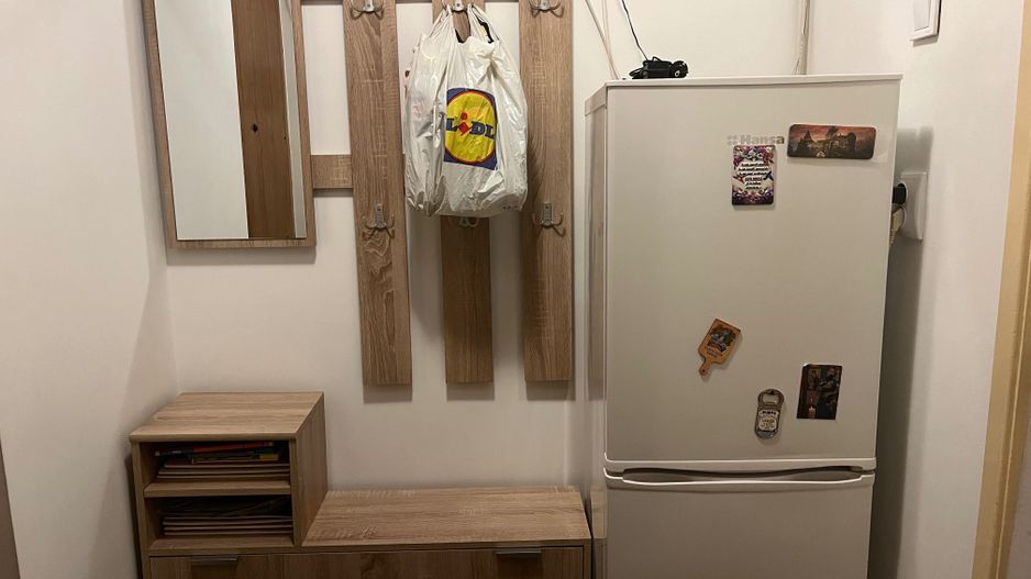 Garsoniera de vanzare Pajura - Poză 7