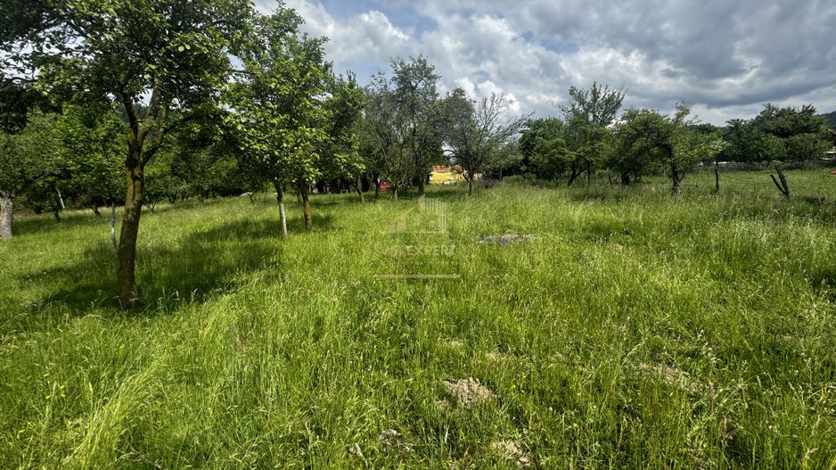 TEREN INTRAVILAN 4600 MP, VOINESTI, LERESTI, ARGEȘ - Poză 12