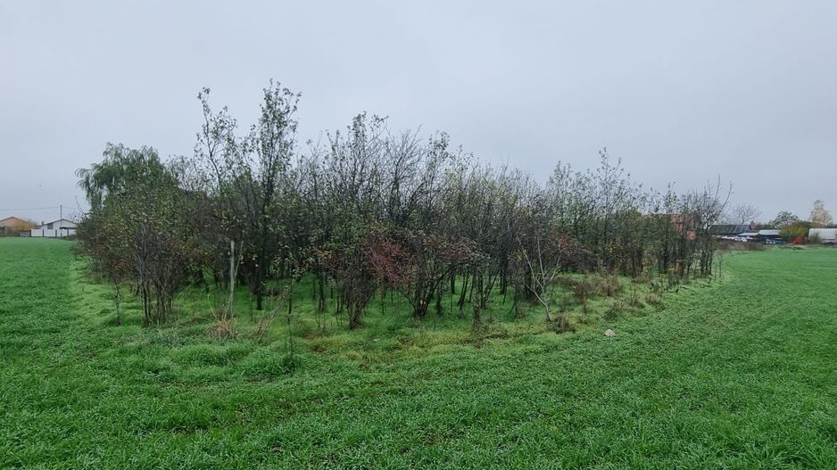 lot Individual - Casa Vila - Poză 4