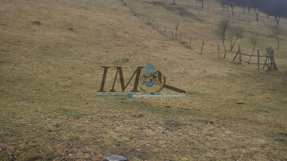 TEREN PENTRU CABANA PE VALEA TONII - Poză 2