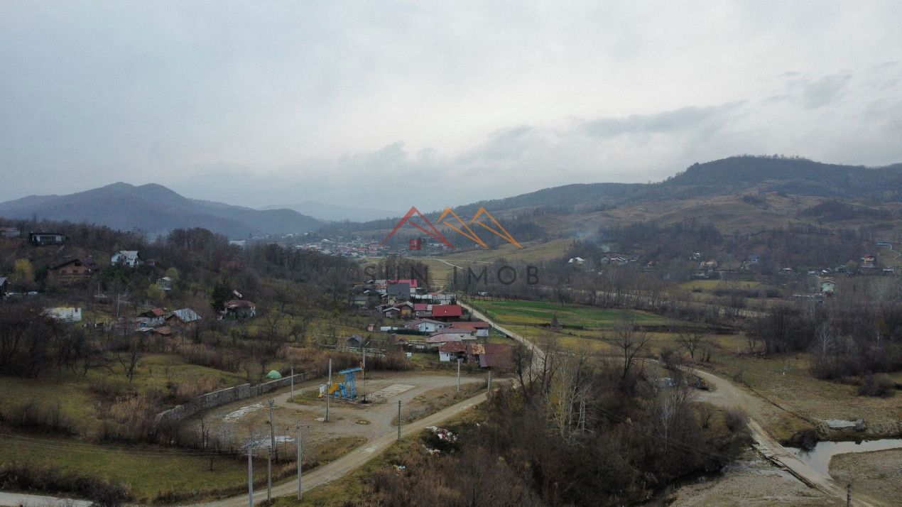 Teren 36000 m2, intravilan+partial extravilan, cadastru, Draganeasa PH - Poză 7