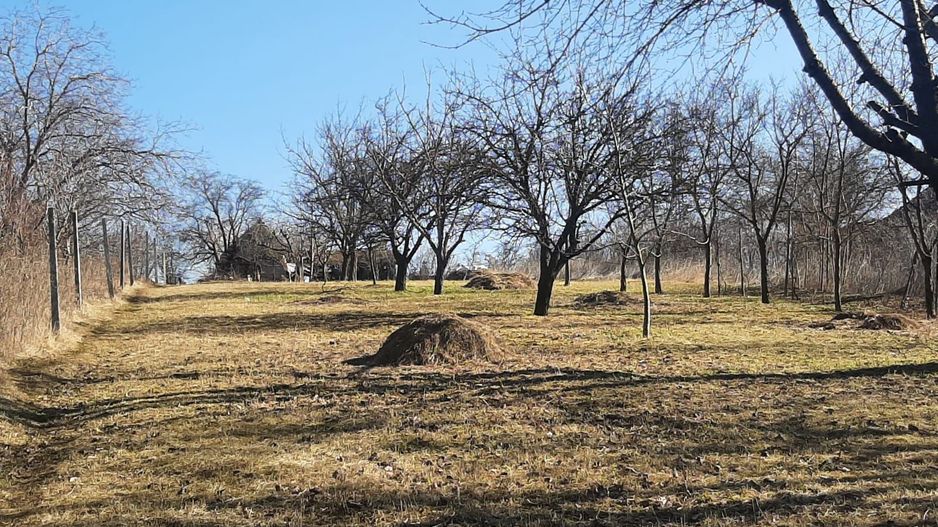 Teren de vanzare in Valcele - Poză 3