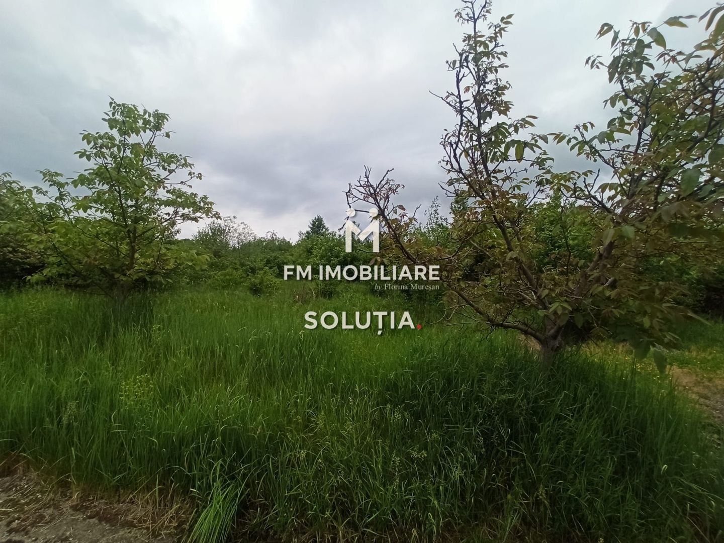 Teren 63 ari, Victoriei zona STO - Poză 3