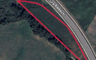 Teren extravilan | Rădăuți | 36 ARI - Poză 9