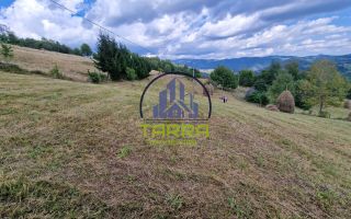 Parcela de teren intravilan situat in Scarisoara Judetul Alba - Poză 4