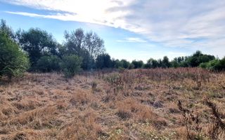 Oportunitate de investitie , de vanzare   teren 18800 mp in zona Plopi. - Poză 4