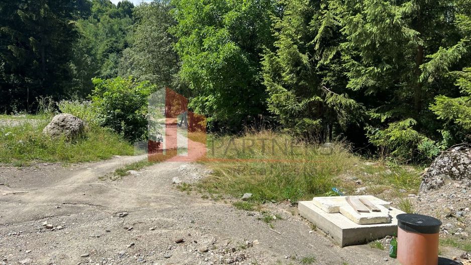 Teren Bran Poarta langa Padure - Poză 4