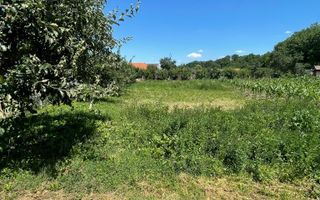Casa ,curte și gradina.Teren cu 2700 mp. - Poză 9
