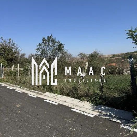 Teren Intravilan | 1230 MP | 2 Parcele | Utilitati | Pauca - Poză 2