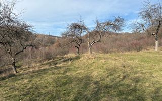 Teren  extravilan I 5300 mpI  Salatrucel -Calimanesti - Poză 5