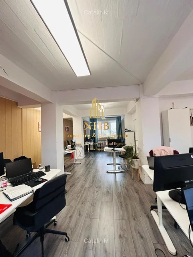 Casa/Vila 5 camere | Tei | Spatiu birouri - Poză 1