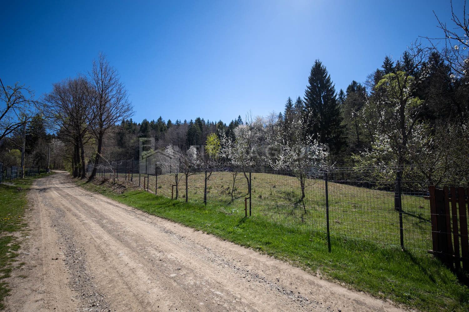 Teren intravilan, pretabil pentru casa de vacanta, 2000 mp - Poză 11