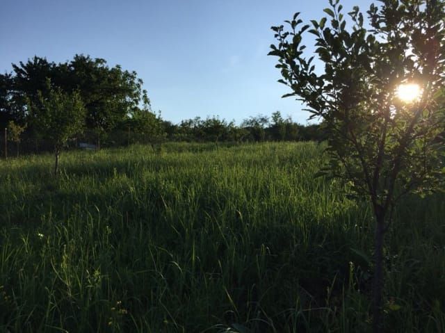 Teren Intravilan Podgoria - Poză 6