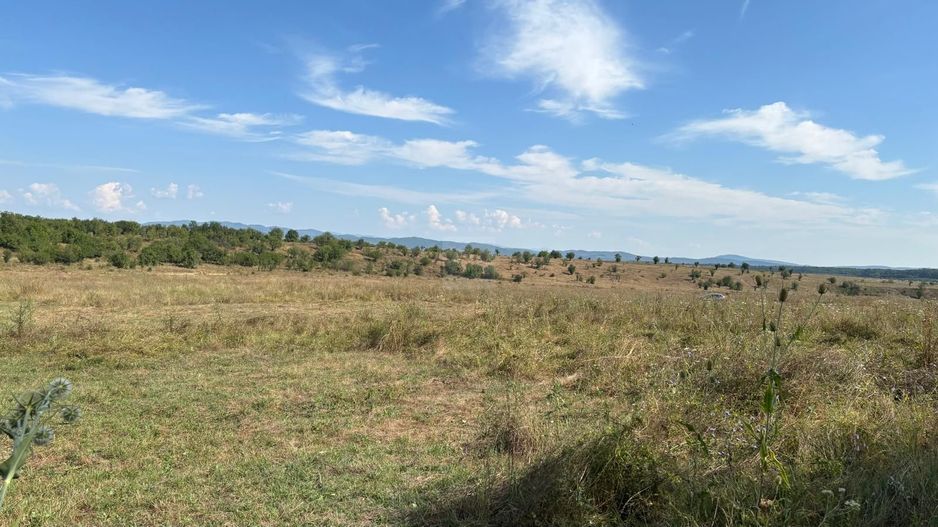 Închiriez teren intravilan - Poză 2