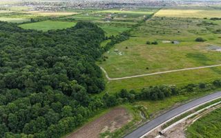 TEREN 625 MP  MOSNITA VECHE - Poză 2