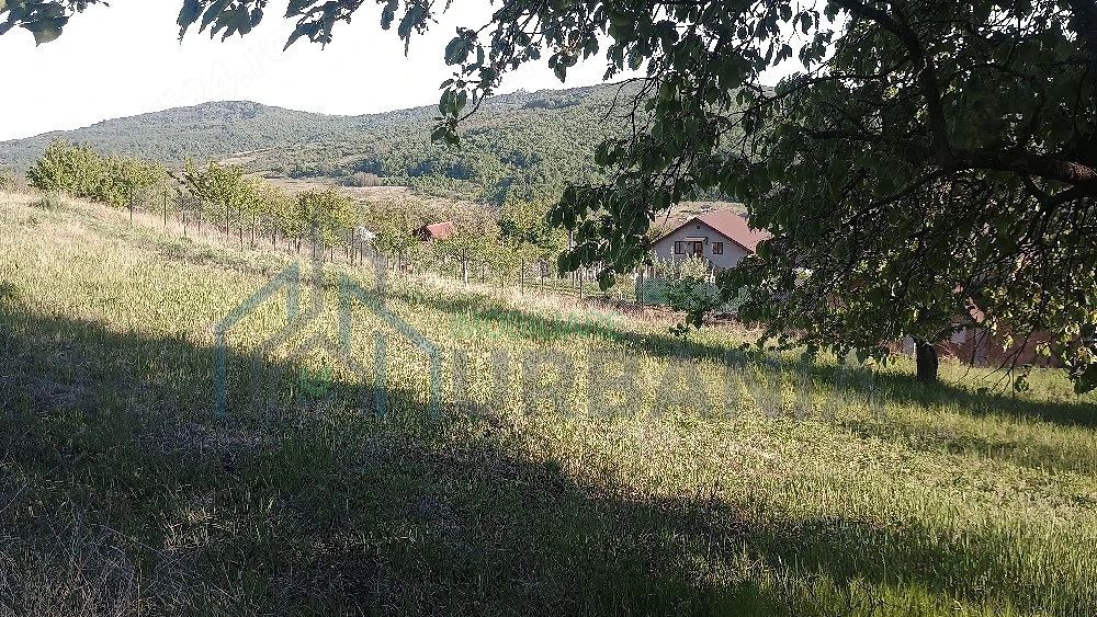Teren intravilan de vânzare în Chicerea-Tomești, două parcele, utilități la limită - Poză 3