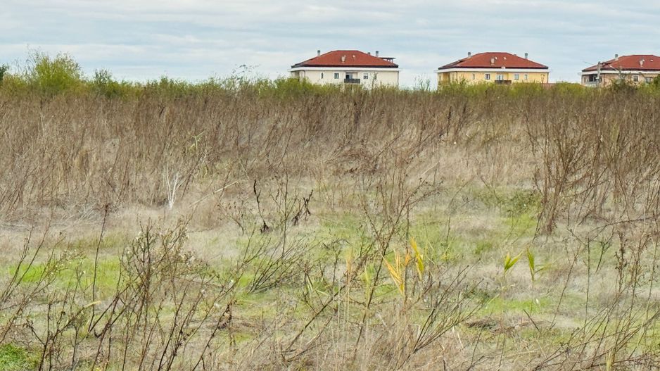 Teren extravilan Chitila/Mogosoia 15895mp - Poză 4