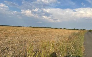 Coreanca  8000 mp intravilan - Poză 5