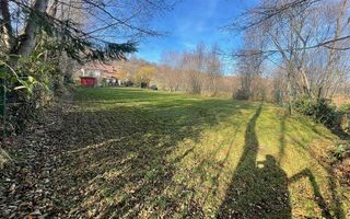 Teren 3349 mp de Vânzare | Bran – Panoramă Munții Bucegi - Poză 5