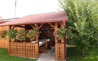 Proprietate premium de închiriat | Sanmartin | Bihor - Poză 4