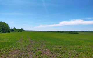 TEREN IDEAL PENTRU INVESTITII GIARMATA-PISCHIA - Poză 1