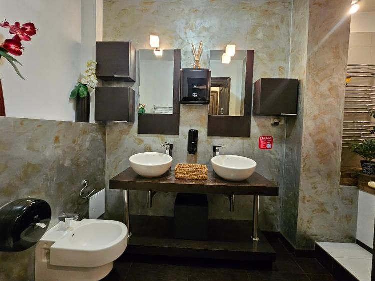 Vilă reprezentativă Sala Radio/Parcul Cismigiu - Poză 14